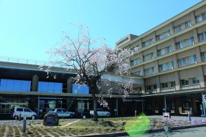 藤田総合病院